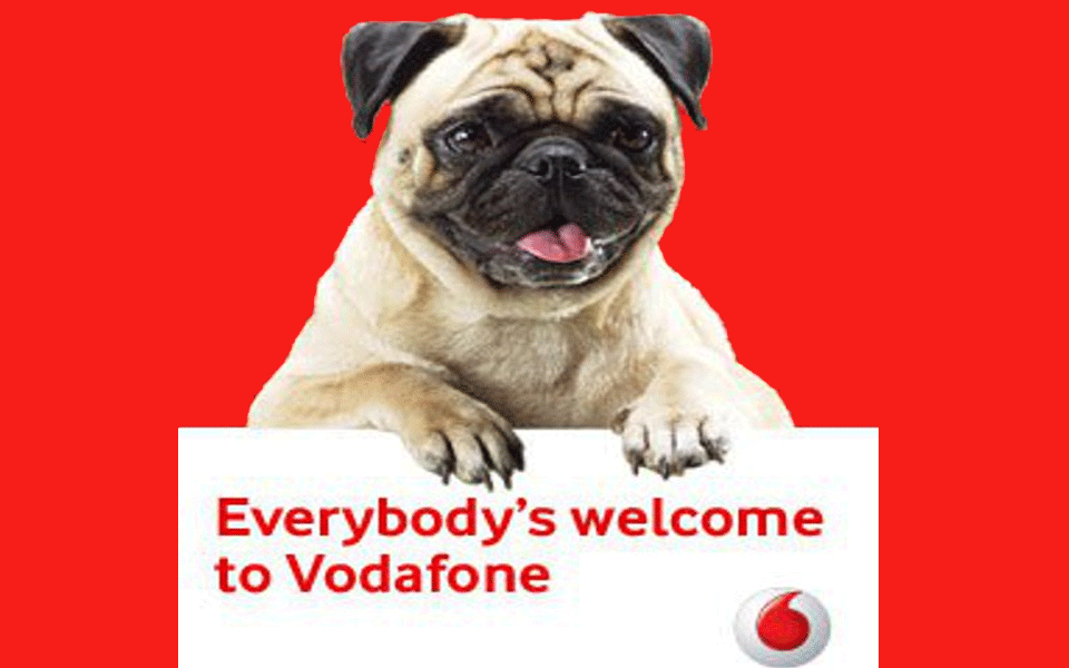 Stop using pugs in advertisements, PETA urges Vodafone