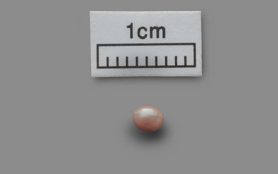 World's oldest pearl, nearly 8,000-years-old, found in Abu Dhabi