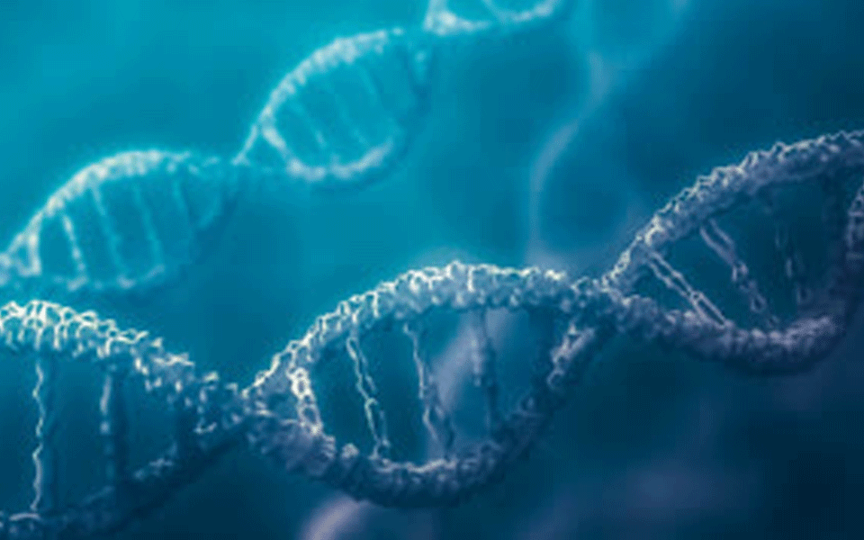 New genetic disorder identified in human patient