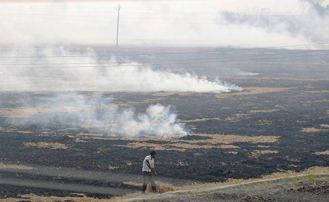 Stubble Burning A Major Cause Of Delhi Air Pollution A Solvable