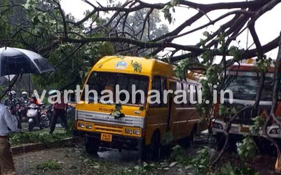 Mangaluru: Huge tree falls on school bus carrying 17 students; no major injuries reported