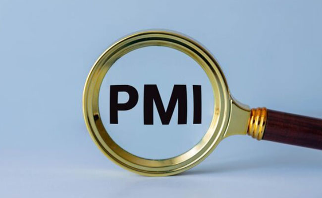 India's manufacturing sector activity witnesses slight recovery in January: PMI