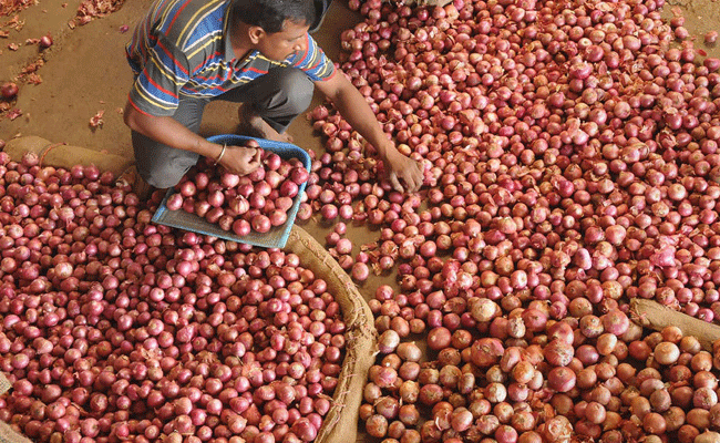 Nafed to begin onion procurement from 3 mandis in Gujarat from Thursday