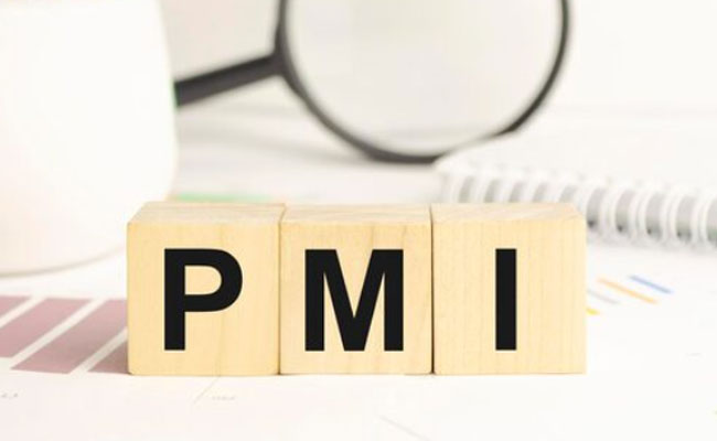 India's services sector growth touches 2-month high in Jan: PMI