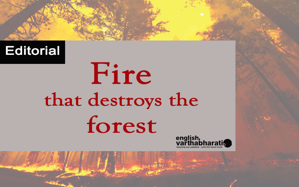 Fire that destroys the forest