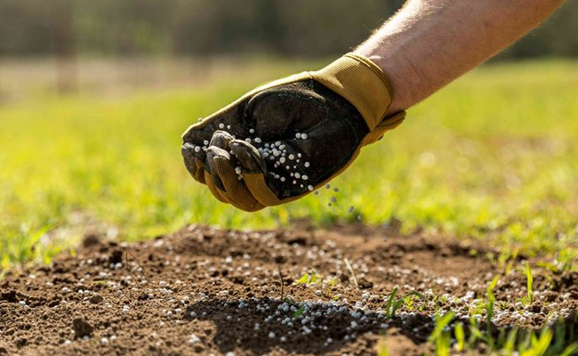 No Gas, No Food, World Hungry