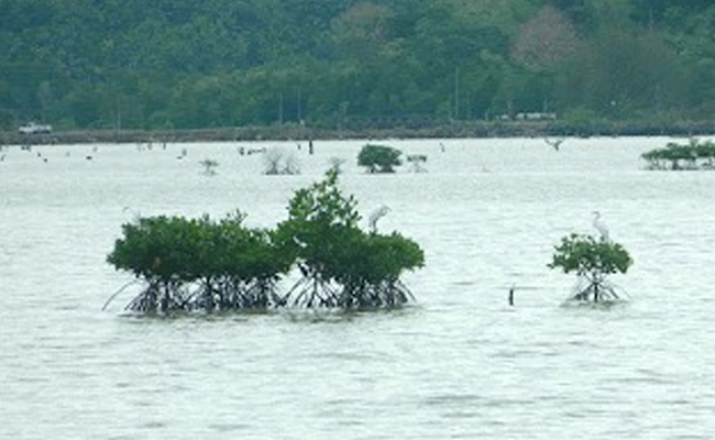 Empowering Future Generations on World Tsunami Awareness Day - Learning from the Past