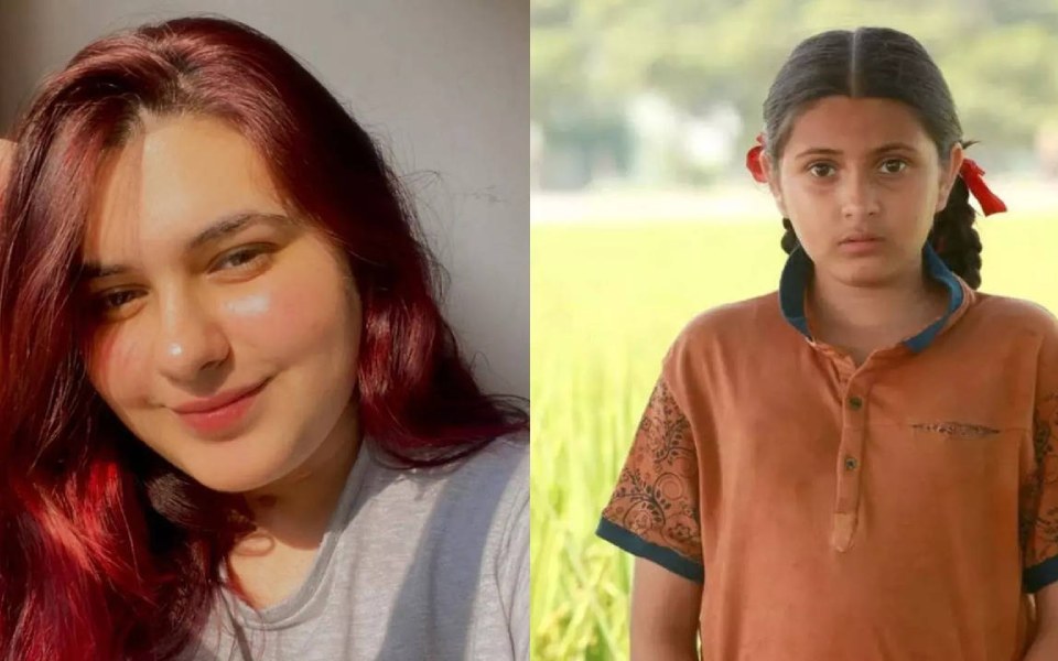 'Dangal' child star Suhani Bhatnagar passes away at 19