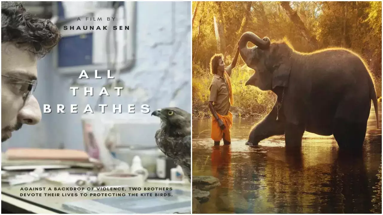 Indian documentaries "The Elephant Whisperers", "All That Breathes" nominated for Oscars