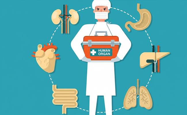 Karnataka records highest-ever 198 organ donations in 2025, ranks third nationally