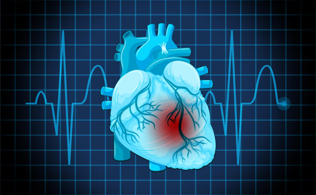 What’s the difference between a heart attack and cardiac arrest?