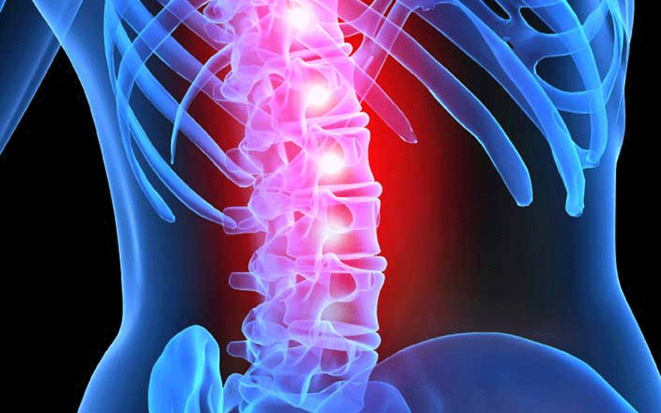 Spinal injuries – A danger to overall body functioning