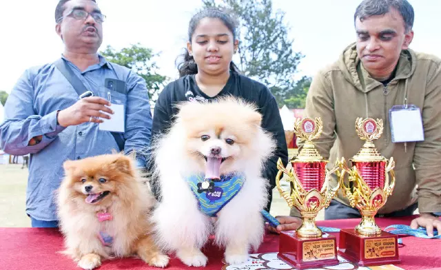 From gate-keeper to walking down the red carpet: Dogs steal the show in this year's Mysuru Dasara