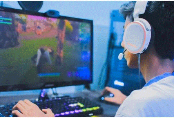 Tamil Nadu bans online gaming involving betting