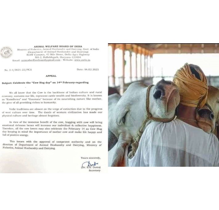 Celebrate 'Cow Hug Day' on Feb 14: Animal Welfare Board of India