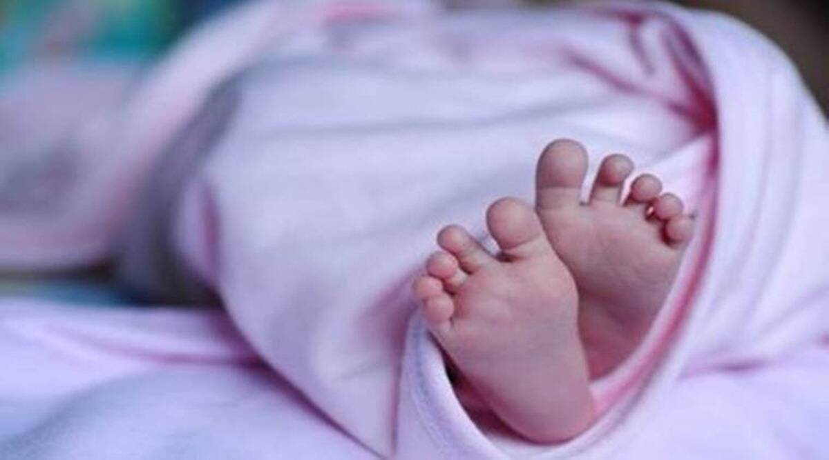 Rats nibble newborn's feet in Indore hospital; probe ordered