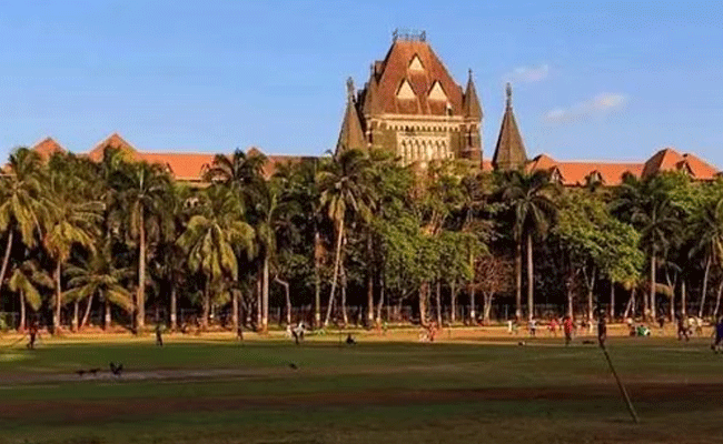 HC allows felling of around 20,000 mangrove trees for Mumbai-Ahmedabad bullet train project