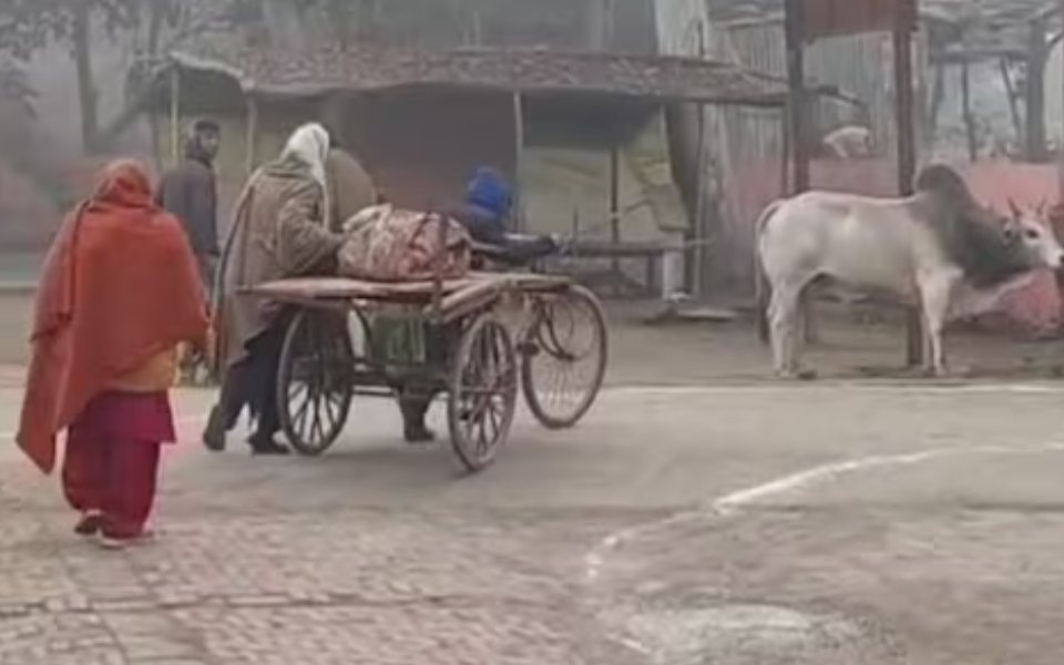 Video of man taking mother’s body in hand-driven cart goes viral: CHC superintendent removed