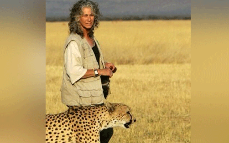 Have to be realistic about losses, not easy to bring back animal from extinction: Cheetah expert