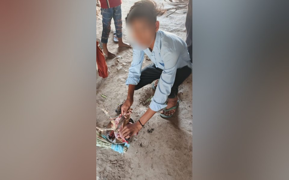 Rajasthan teacher forces student to cut, clean chicken during exam; suspended