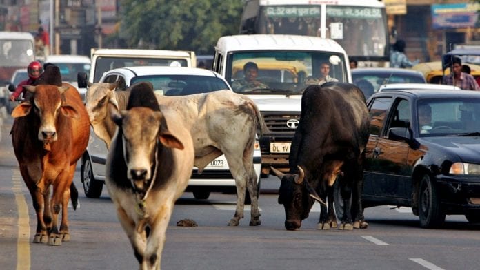 Gujarat Assembly passes bill that aims to tackle stray cattle menace in urban areas