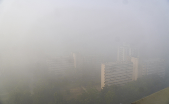 Dense fog disrupts operations at Delhi airport; 228 flights cancelled, 5 diverted