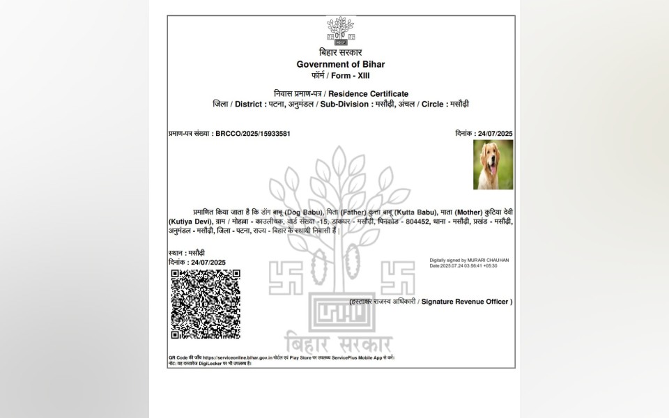 Bihar: Residence certificate issued in favour of 'dog babu'; FIR lodged against applicant, officials