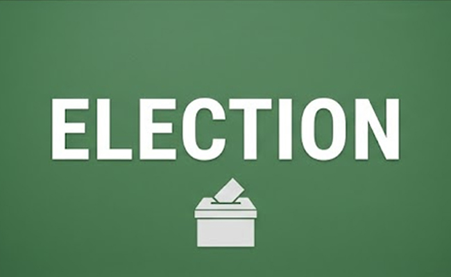 Goa Forward Party likely to contest 25 assembly seats in 2027, looks to strengthen voter base