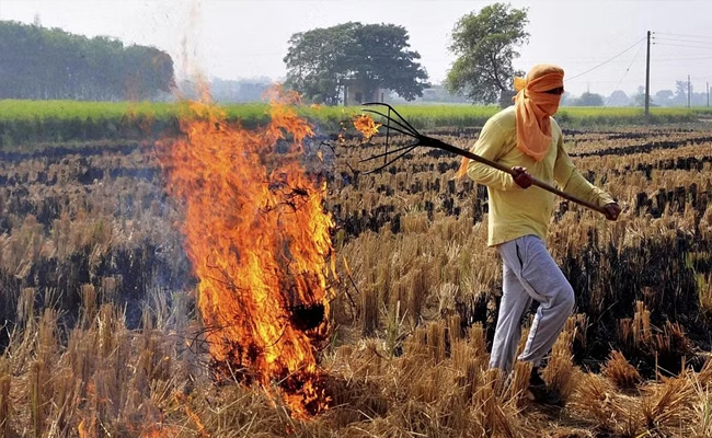 14 farmers arrested in Haryana's Kaithal for stubble-burning