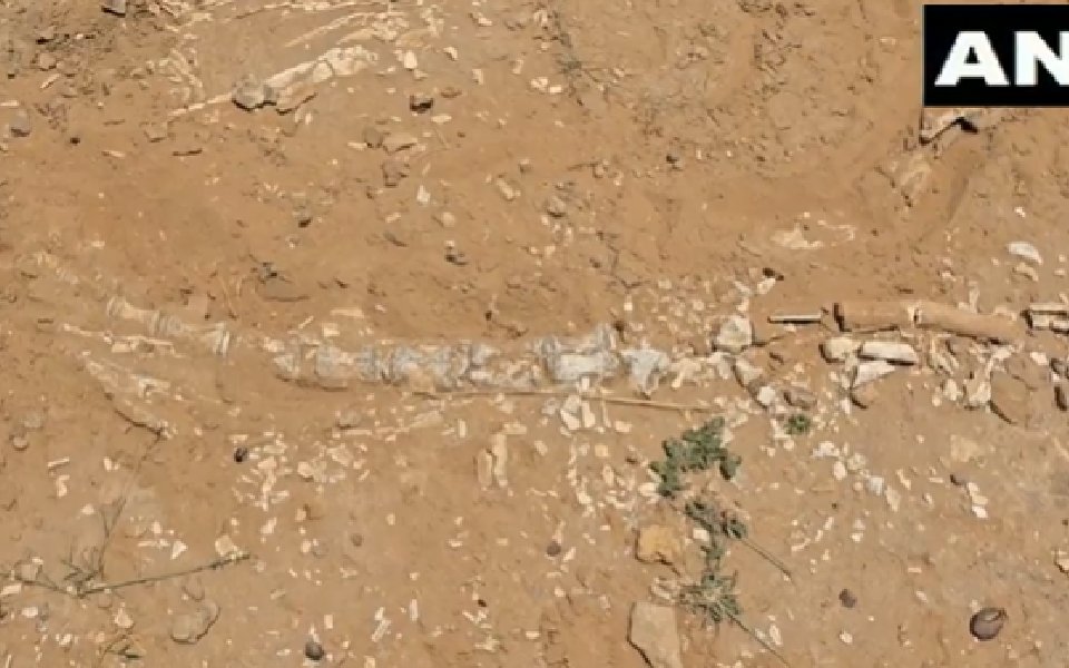 Suspected dinosaur-era fossils found during pond excavation in Jaisalmer; GSI probe ordered