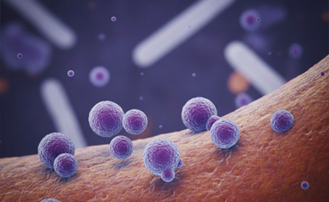 Woman injects HIV virus on ex-lover's wife in Andhra, four held