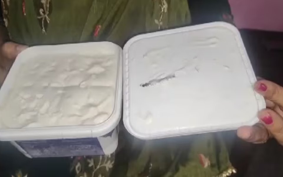 Centipede in ice-cream tub ordered online, claims Noida woman; authorities launch probe