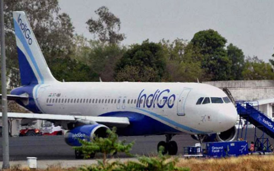 IndiGo places firm order for 500 planes with Airbus