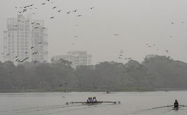 Cold conditions grip Bengal, Kolkata records season's lowest temperature on last day of year