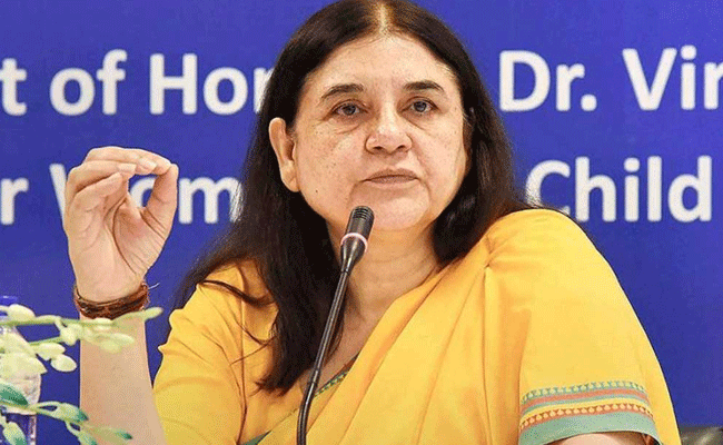 ISKCON biggest cheater of India, nobody sold more cows to butchers than them: BJP MP Maneka Gandhi