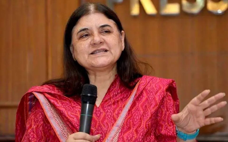 HC rejects Maneka Gandhi's plea against election of SP candidate, says it is time-barred