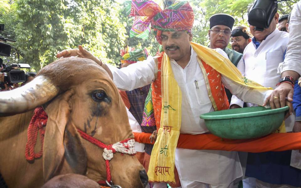 MP CM Yadav announces credit cards, financial aid for cow keepers