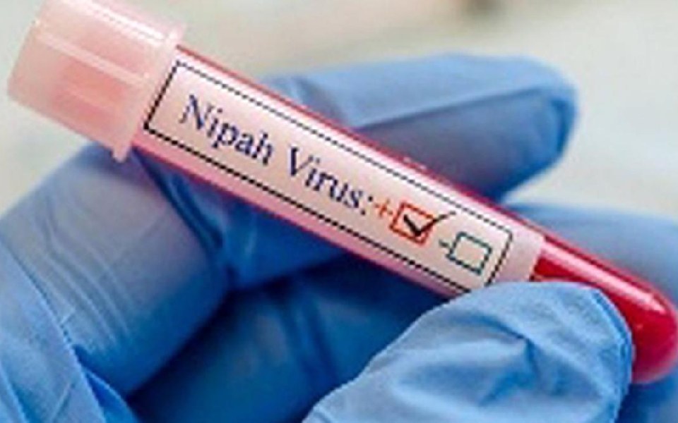 Man in Malappuram district died due to Nipah virus, says Kerala Health Minister