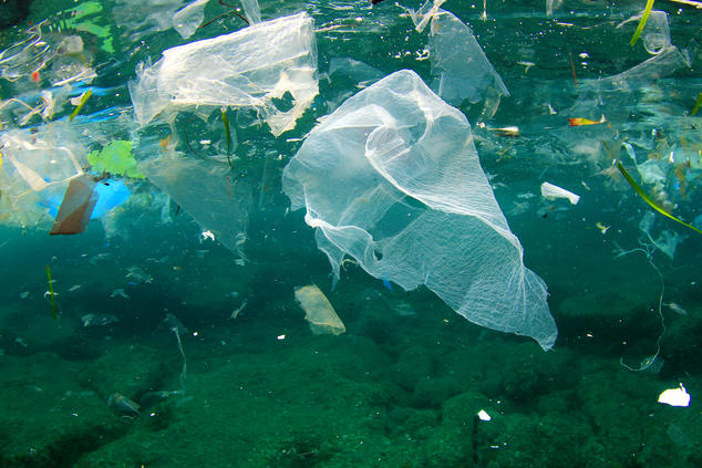 British envoy draws attention to plastic pollution in oceans