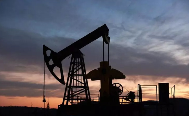 India has enough oil stock to weather West Asia crisis; coverage in place for 6-8 weeks