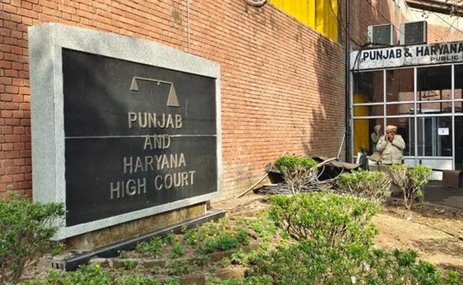 Her willingness, consent all that matters: HC on Punjab woman's plea for abortion