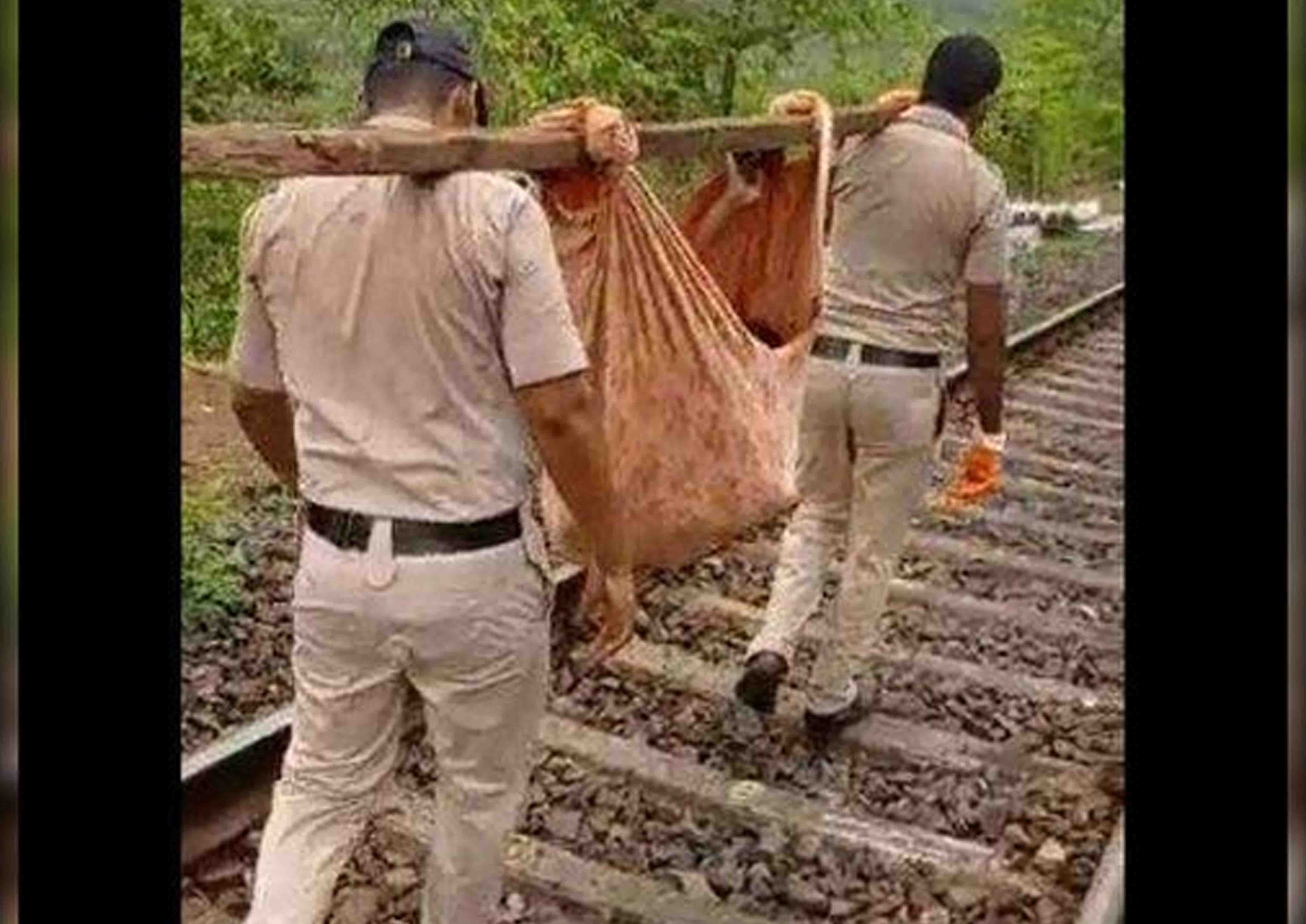 Maharashtra: Cops walk 4 km carrying injured woman on makeshift stretcher