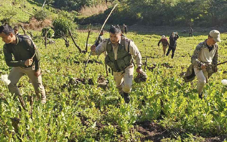 8.6 acres of poppy cultivation destroyed in Manipur: CM Biren Singh