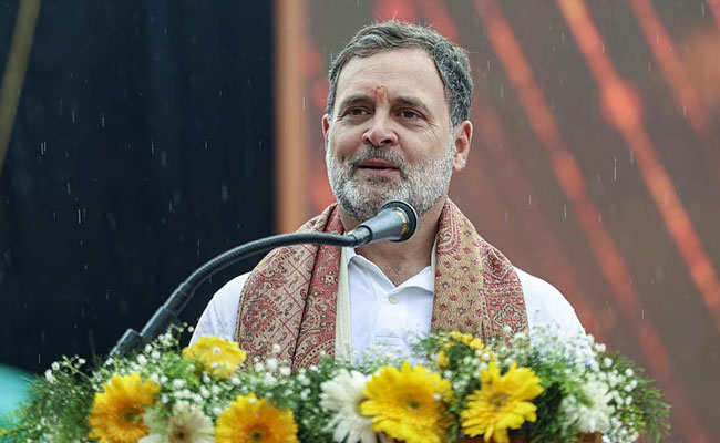 Constitution a shield to protect people's rights: Rahul Gandhi