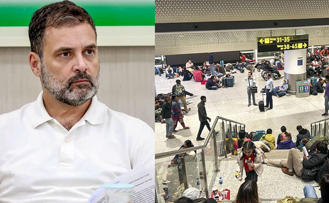IndiGo fiasco is cost of govt's monopoly model: Rahul Gandhi