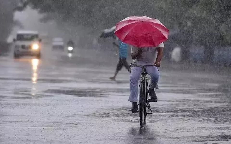 Heavy rains batter Bengaluru, trigger waterlogging in low-lying areas