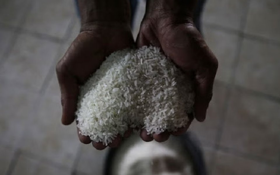 Cabinet okays fortified rice supply under welfare schemes till Dec 2028 at Rs 17,082 cr cost