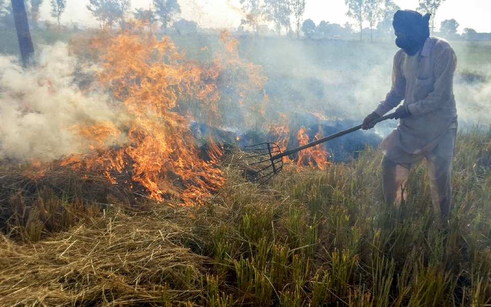 Centre doubles fines for stubble burning