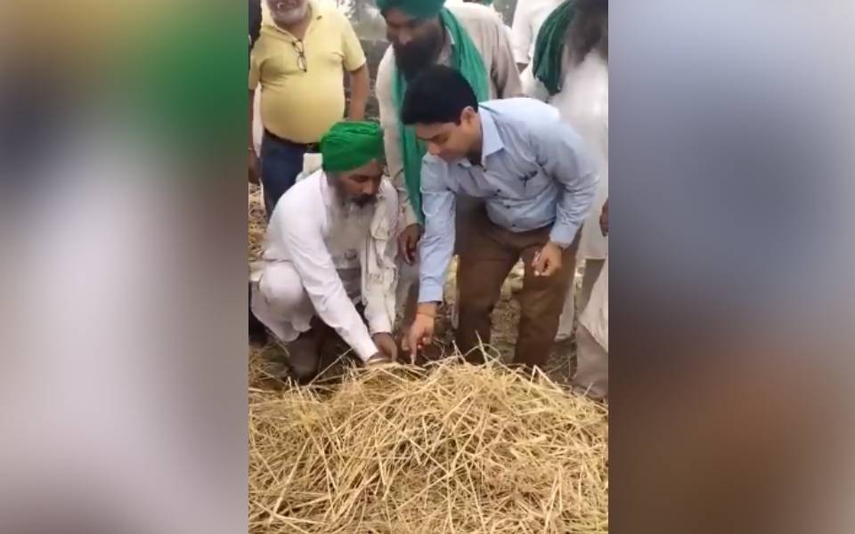 Farmers force govt official who came to stop stubble burning to set paddy straw on fire in Bathinda