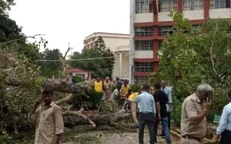 Chandigarh: Student killed, 18 injured after tree falls on them inside school complex
